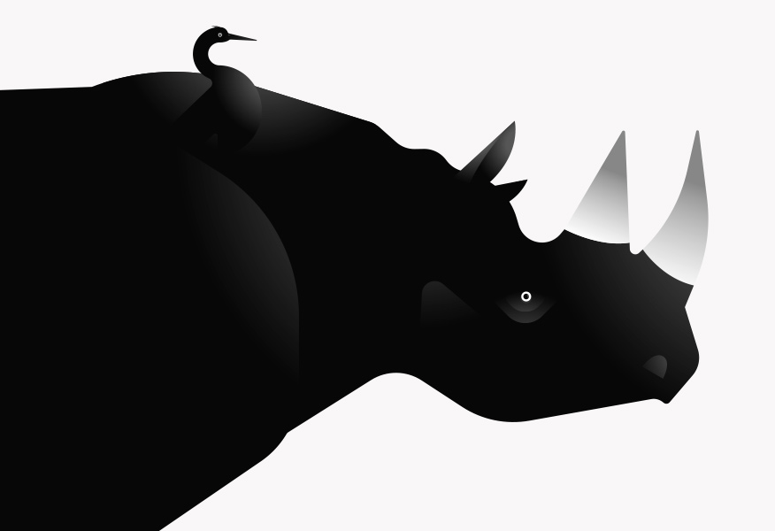 rhinoceros illustration